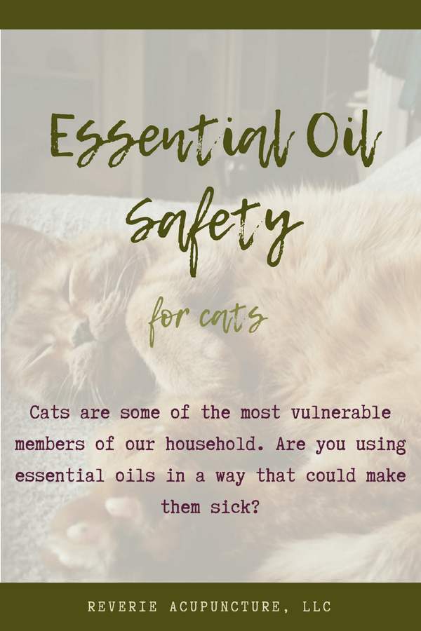 Cats are some of the most vulnerable members of our household. Are you using essential oils in a way that could make them sick?