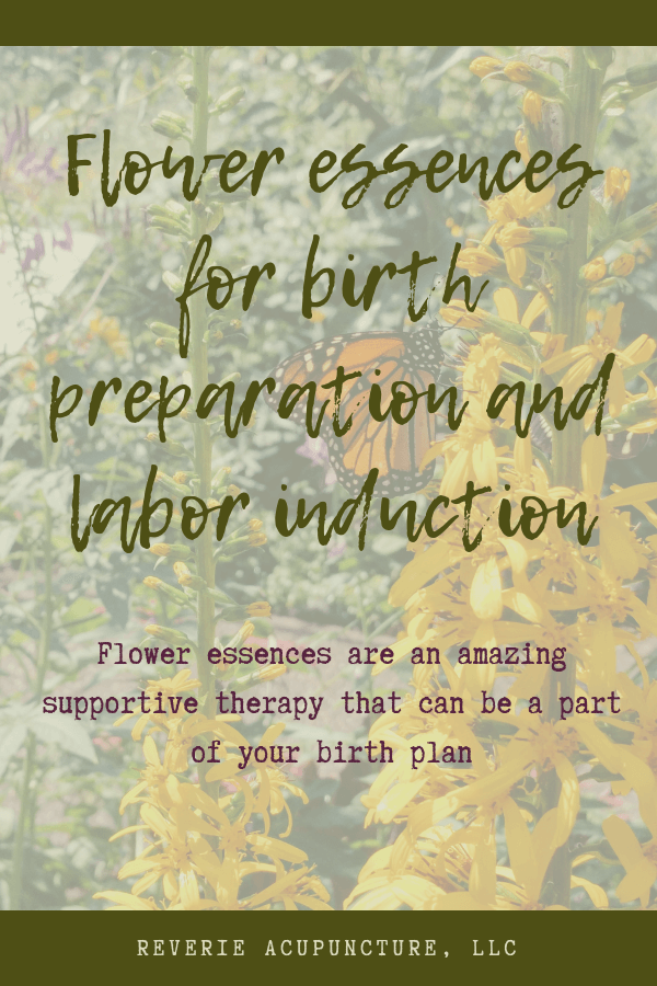 Flower essences are a complementary therapy that can help with the emotional and spiritual aspect of labor induction and birth preparation