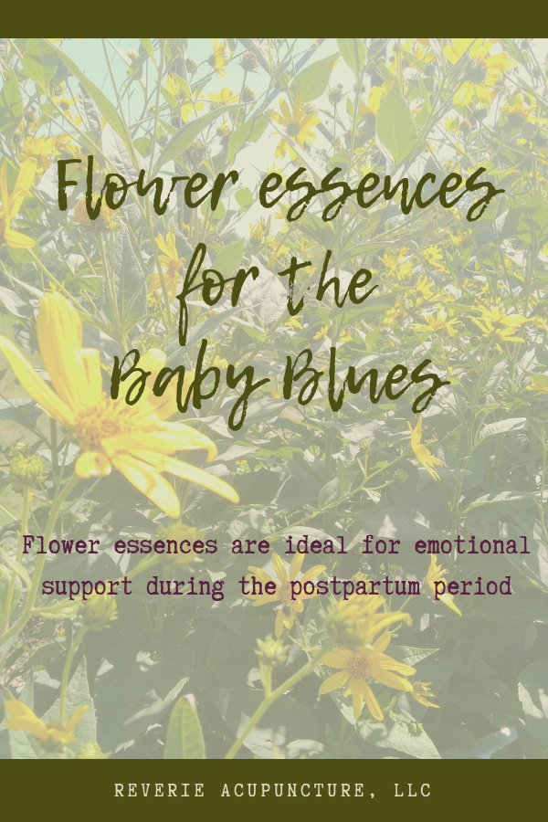 Flower essences are ideal for emotional support, and are a great supplement to care during the postpartum period