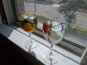I have made my favorite flower essence from a potted mini-rose, floated in a wine glass, left out during a lunar eclipse (during Mercury in retrograde) in the windowsill of my apartment, preserved in vodka.