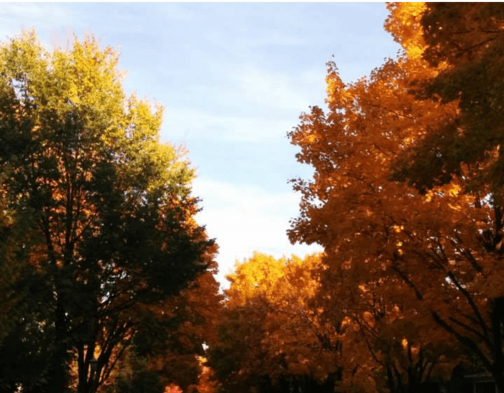 Are you feeling resistant to the coming winter? Living seasonally helps you settle into the rhythm of the year and autumn helps you prepare for winter properly