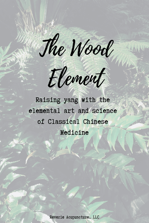 Spring seems like it's a long way off in Minnesota. Just last month we hit a record for snow fall in February. But cold and snow notwithstanding, the wood energy of spring is still flowing.
Now that I've covered how to live in accordance to each season, I thought it would be a good time to move to talking about the elements in Chinese medicine.
Just like the elements of the periodic table, the elements of Chinese medicine represent the basic components. You'll recognize a lot of the movement and terminology in this post from the spring living blog, but this one will take it to another level.