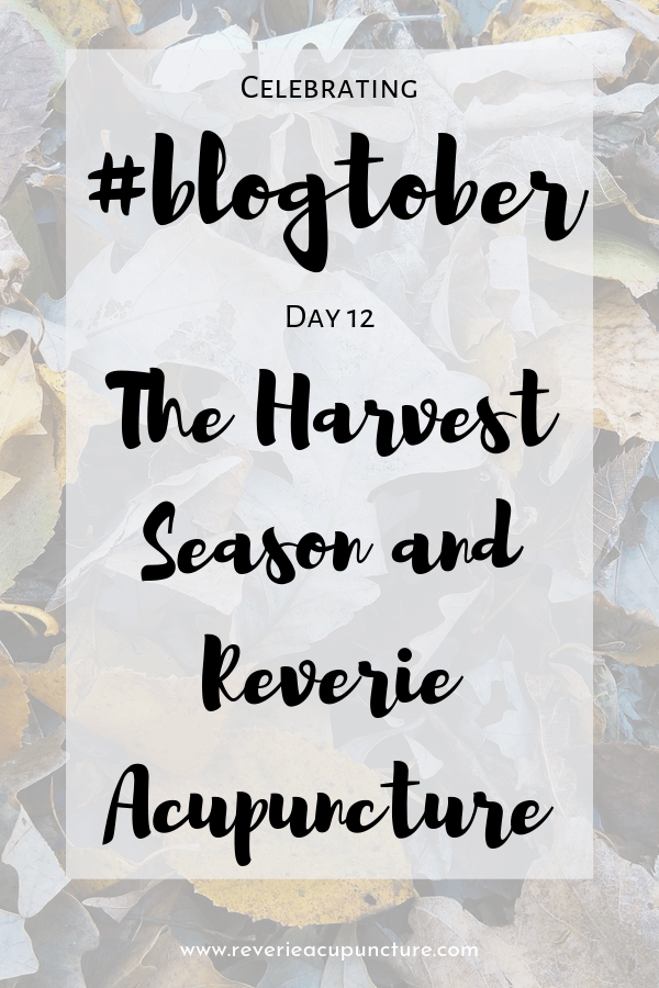 Today’s blogtober post is an experiment! I am going to be posting parts of the newsletter to the blog going forward.
Why?
Because a lot of my patients aren’t signed up for the newsletter and they’re missing out on a lot of exciting updates like this one. What am I so excited about? Scroll to find out!