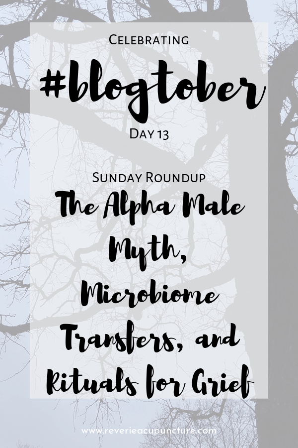 Time for the second ever Sunday round up! This week I found an awesome video debunking the alpha male myth, a fascinating article about vaginal fluid transfers as a treatment for bacterial vaginosis, and some healing rituals for grief, the emotion of the season.
