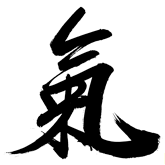 When a language is created from images, the entire character becomes a poem that can mean a specific thing, or it could mean something bigger with looser boundaries. For example, we translate the character for qi as "energy" but it means so much more than the English written word for energy.