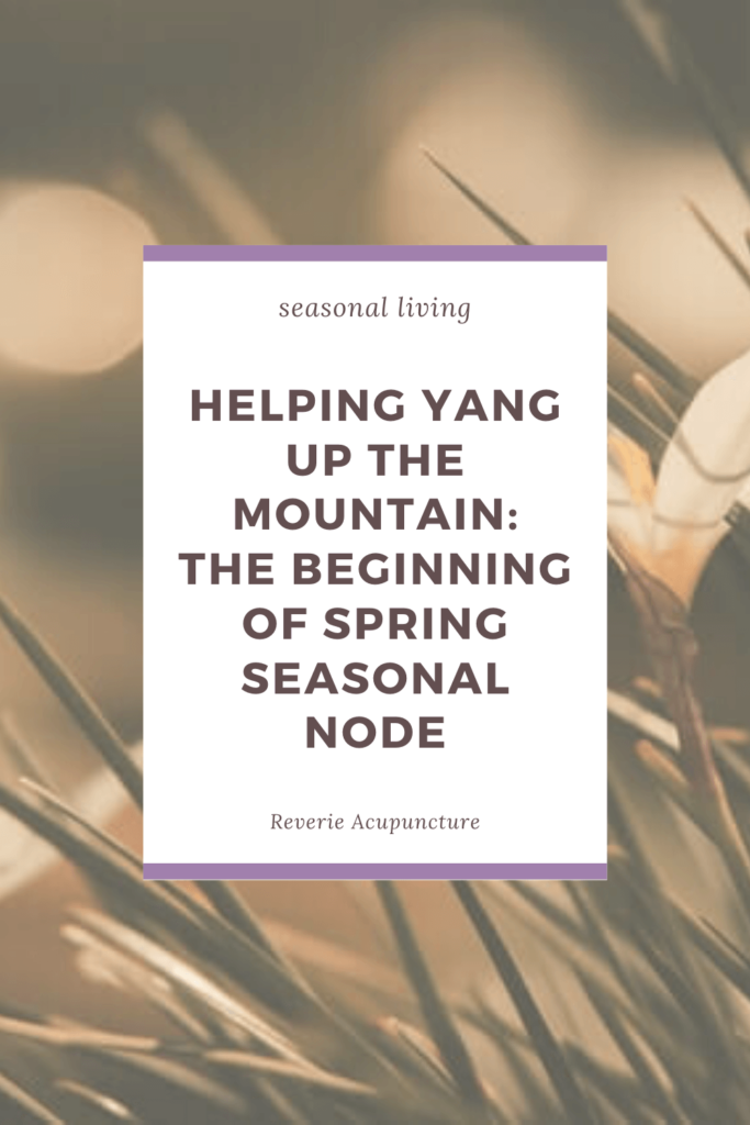 Despite the icy roads, dirty snowbanks, and freezing temperatures, spring has finally come to Minnesota. The trees aren’t budding and the flowers aren’t blooming but the upward movement of yang is finally showing itself in noticeably longer days.
February 4th marks the Beginning of Spring seasonal node, and these next two weeks are about harnessing the generative energy of spring. When we ride the upward momentum of spring with proper dietary changes, exercises, and lifestyle choices everything flows a little more easily.
Gone are the days of me telling you that it’s time to rest. We’re leaving that behind in the cold and dark days of winter. Now it is time to plant those seeds of yang you birthed at the winter solstice and make some changes in your life.