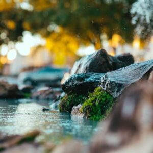 Every muscle and tendon in your body is governed by the wood element. The wood element is the Chinese element of springtime, and therefore of generation. Muscles are what help us move from place to place; they are the palpable manifestation of generation.