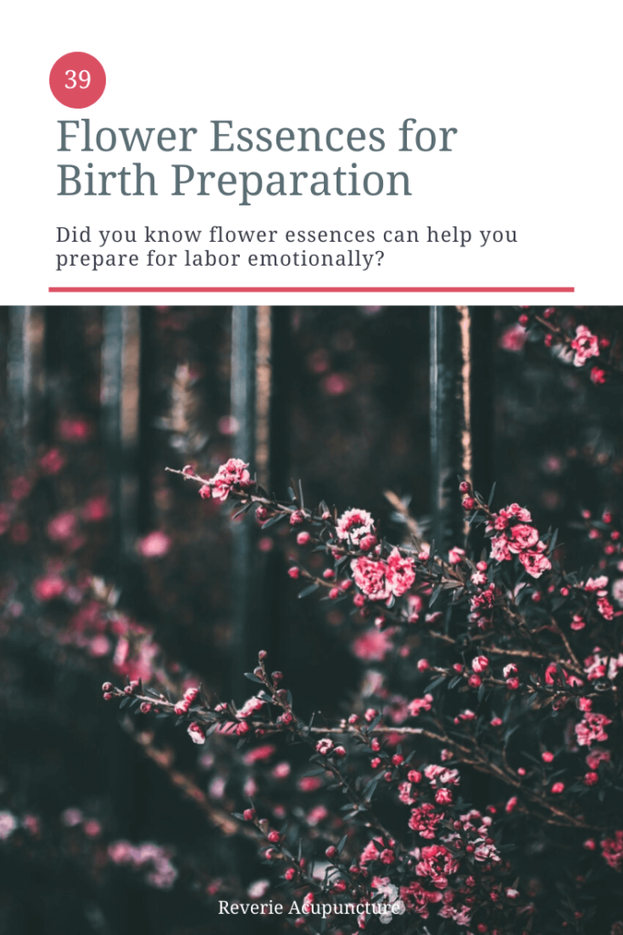 Flower essences for labor induction? Can it be? Flower essences on their own? No, probably not. But while flower essences and Traditional Chinese Medicine are two separate systems, TCM theory opens the door to using flower essences as part of a natural birth plan. Many births are delayed and labors prolonged because of the emotional and hormonal state of the birthing person. Birth can be stressful and scary, and sometimes we’re carried away by the hormones tearing their way through our systems. Flower essences can help bring us back into harmony, and anchor us in a place where we can trust the process, relax into the flow and enjoy the beauty of our graduation from parent to parent to be. Featured photo and cover photo Photo by Lisa Fotios from Pexels