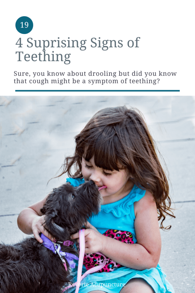 My daughter is my first child so everything that we go through together, we’re all doing for the first time. Even though I got my master’s in Oriental Medicine and have worked in holistic medicine for the better part of a decade, 99% of parenting is a mystery to me. For instance, teething. Teething is just baby teeth cutting through the gums, right? It’s painful, it’s a milestone, but that’s it. I mean, I knew that teething was determined by the strength of kidney qi because the kidneys govern both bone and development. But beyond that, I knew no other symptoms of teething besides “pain”. Featured image and cover photo by Bin Ziegler via Pexels