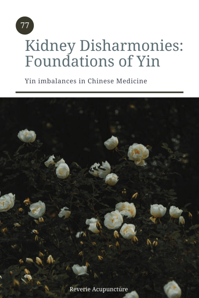 Les dysharmonies et les déséquilibres des reins sont au cœur des luttes de fertilité de nombreuses personnes. Les reins, lorsqu'ils sont combinés avec le foie, forment la racine de la façon dont les hormones sont développées et se déplacent dans tout le corps. Les reins eux-mêmes régissent notre croissance et notre développement, ainsi que notre potentiel reproductif. Les reins sont également l'un des seuls systèmes dont les changements sont prévisibles tout au long de notre vie. Comprendre les dysharmonies rénales ne consiste pas à les prévenir, comme c'est le cas pour les dysharmonies hépatiques et pulmonaires. Il s'agit d'équilibrer les changements pour rendre le processus de vieillissement plus confortable et d'éviter que ces changements aient un impact négatif sur d'autres systèmes organiques. Parce que le système rénal est littéralement la base de notre corps et de tout notre yin et yang, j'ai divisé ce chapitre en deux parties. Aujourd'hui, nous parlerons des déficiences et des déséquilibres du yin du rein et demain, nous parlerons des déséquilibres du yang du rein. Image vedette et photo de couverture par Irina Iriser de Pexels