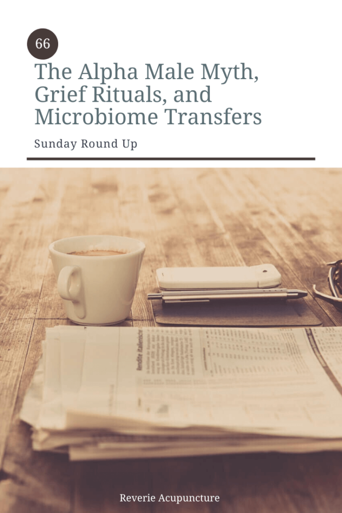 Time for the second ever Sunday round up! This week I found an awesome video debunking the alpha male myth, a fascinating article about vaginal fluid transfers as a treatment for bacterial vaginosis, and some healing rituals for grief, the emotion of the season. Featured image and cover photo by Markus Spiske from Pexels