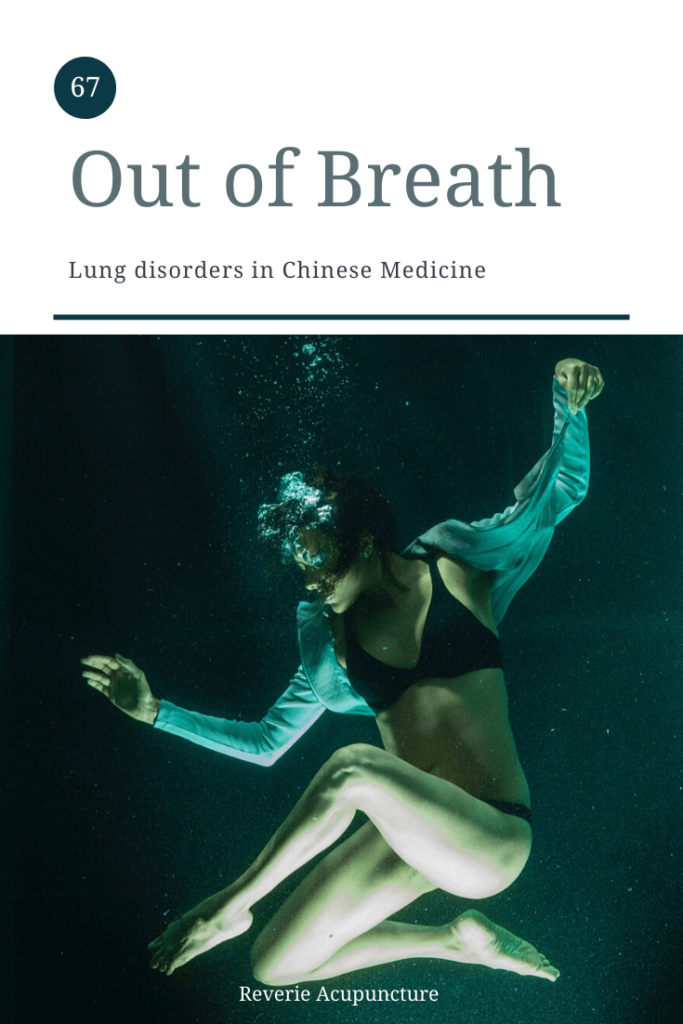 My last theory-heavy post for the month is going to be on the disharmonies of the Lung system. Like with the post on Liver disharmonies, I am going to discuss common patterns with the Lung system and what they might look like from a Western perspective as well as some general advice for preventing or coping with lung disharmonies. Photo by Engin Akyurt from Pexels