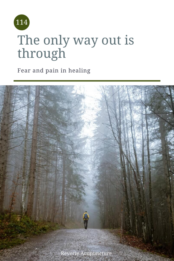 When we start on a new leg of a wellness journey, it always seems we start as the Fool in tarot. This time, this path – THIS will be the answer. We have a smile on our face, a bag on our shoulder, and off down the path we go. What we always seem to forget is that every healing journey means looking squarely into our darkness. Sometimes that is reliving traumatic events with a therapist. Sometimes it’s leaning into a contraction. Sometimes it’s quieting ourselves and listening to what our bodies are saying during a struggle with infertility or dysmenorrhea. We shy away from the darkness because the darkness is painful. But here’s the thing: just like with a contraction during labor, the only way out is through. Photo by Gabriela Palai from Pexels